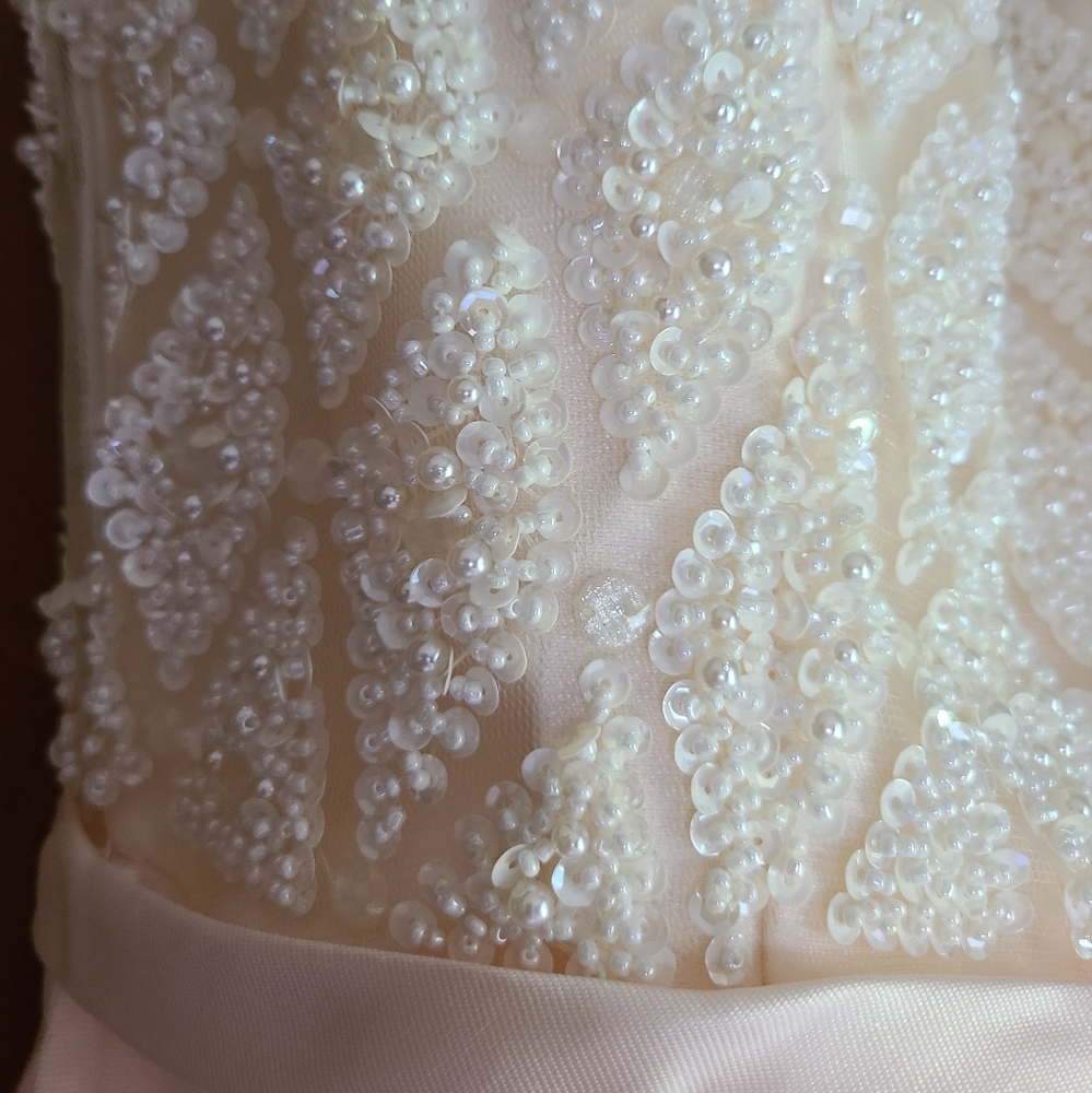 Judy & Julia Champagne Ball Gown - size 6 NWT - Picture 4 of 11
